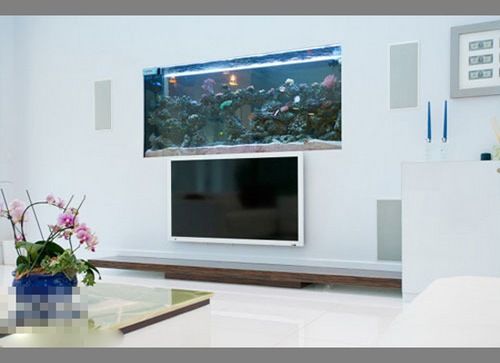 家居装修布置要有新意15个电视背景墙设计效果图